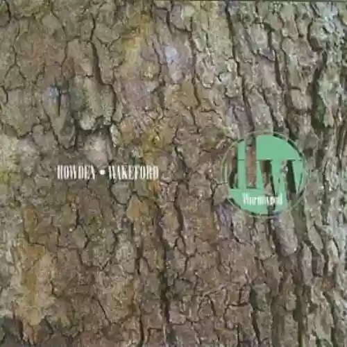 Cover di Wormwood