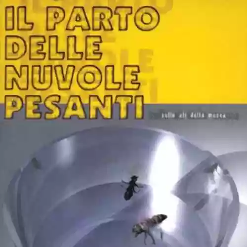 Cover di Sulle ali della mosca