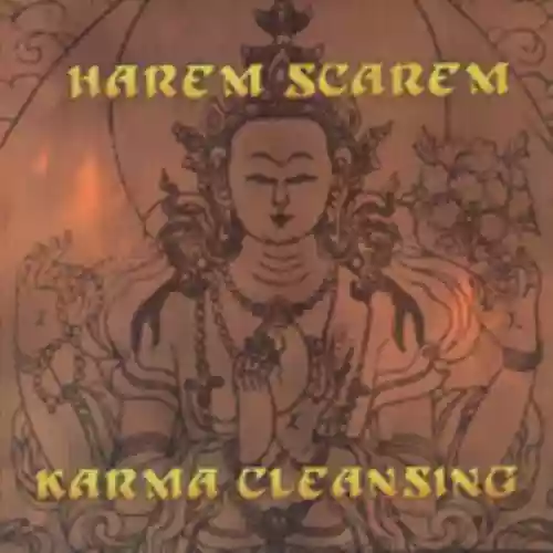 Cover di Karma Cleansing