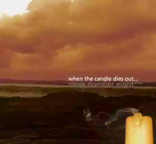 Cover di When the Candle Dies Out...