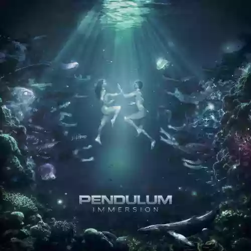 Cover di Immersion