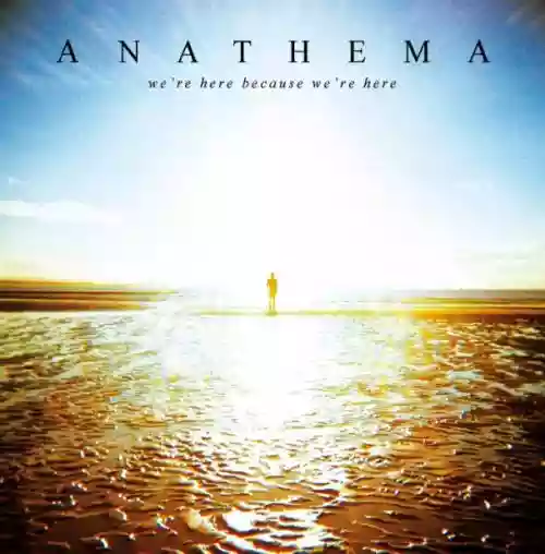 Cover di We're Here Because We're Here