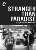 <b>Jim Jarmusch</b> • Stranger than Paradise