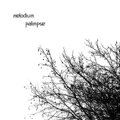 Cover di Palimpse