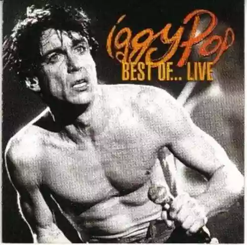 Cover Iggy Pop - Soldier