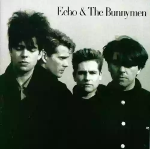 Cover di Echo and The Bunnymen