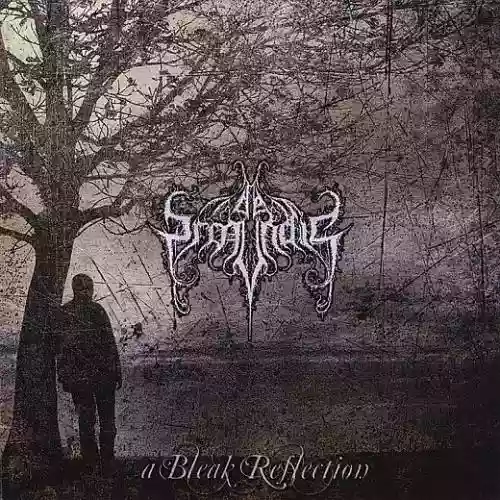 Cover di A Bleak Reflection