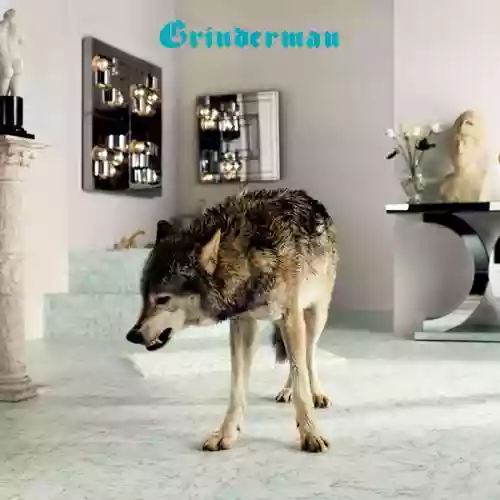 Cover di Grinderman 2