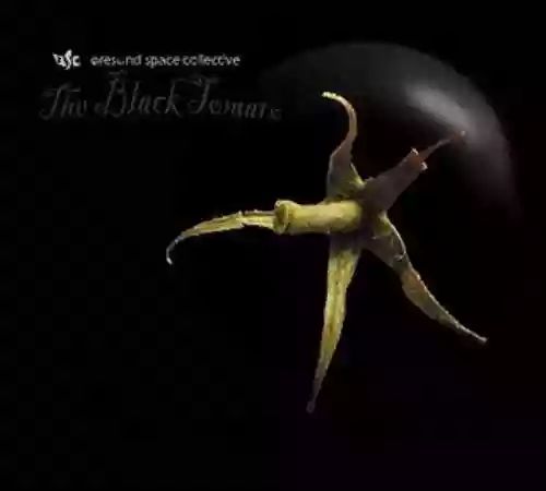 Cover di The Black Tomato