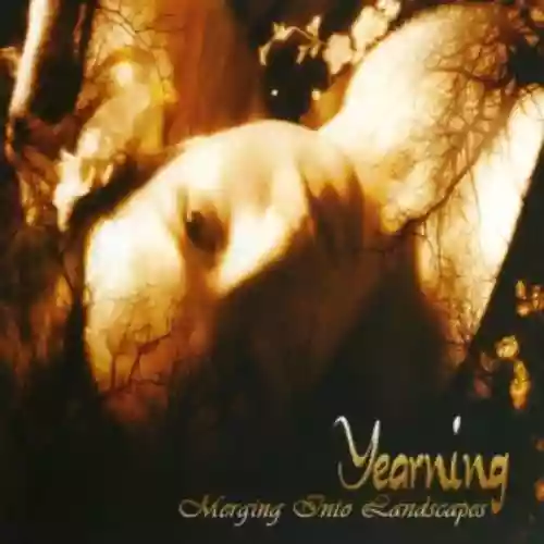 Cover di Merging Into Landscapes