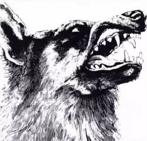 Cover di I, Vigilante
