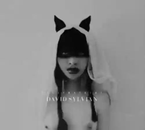 Cover di Sleepwalkers