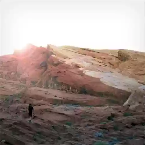 Cover di The Waves