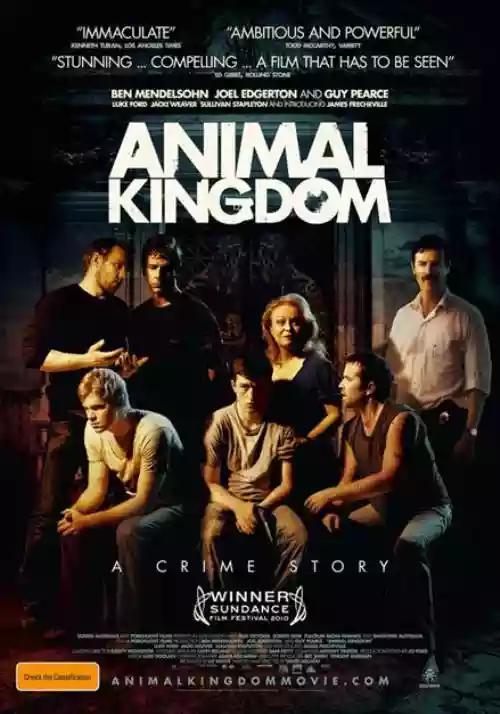 Cover di Animal Kingdom