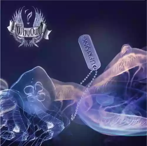 Cover di Uprising