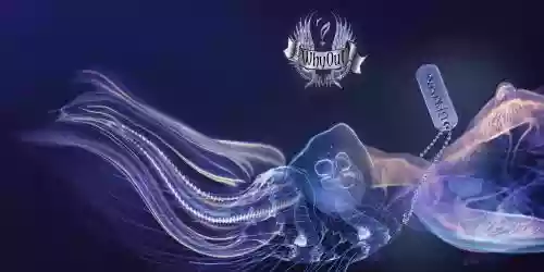 Cover di Uprising