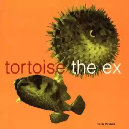 Cover di In the Fishtank, Volume 5