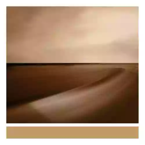 Cover di Small Craft on a Milk Sea