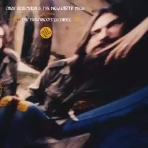 Cover di This Magnificient Distance