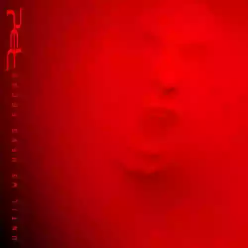 Cover di Until We Have Faces