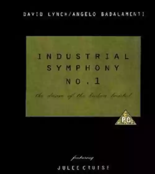 Cover di Industrial Symphony No. 1: The Dream of the Broken Hearted