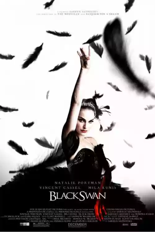 Cover di Il Cigno Nero (Black Swan)