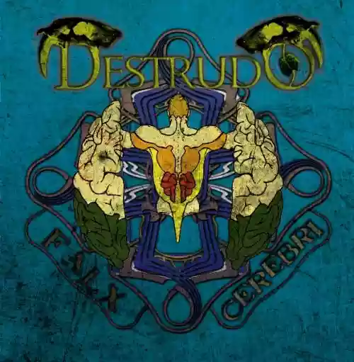 Cover di Falx Cerebri