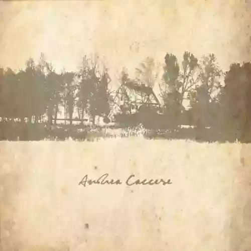 Cover di Icarus Falling / Set The World On Fire