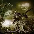 <b>Children of Bodom</b> • Relentless Reckless Forever
