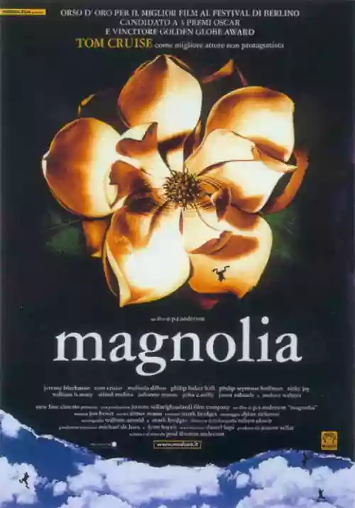 Cover di Magnolia