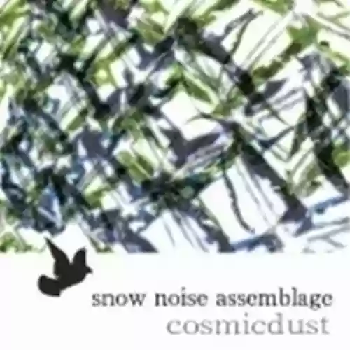 Cover di Snow Noise Assemblage