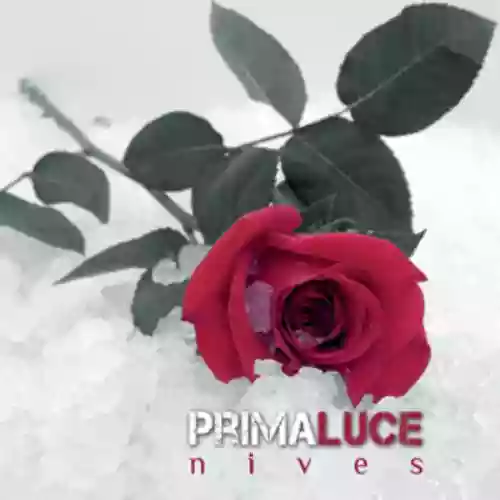 Cover di Nives