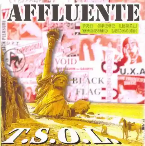 Cover di T.S.O.L.