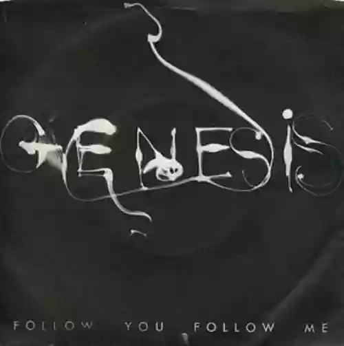 Cover di Follow You Follow Me