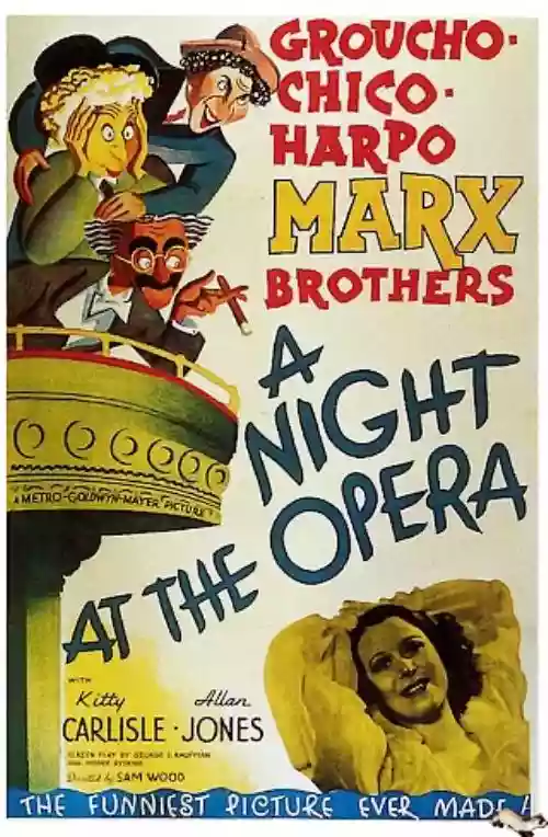 Cover di Una notte all'opera