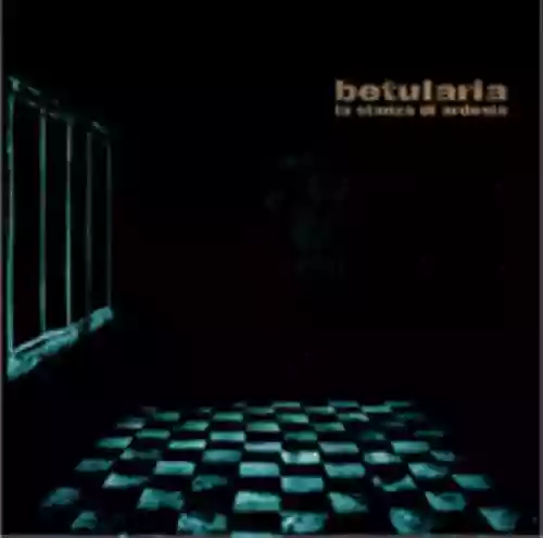 Cover di La stanza di ardesia