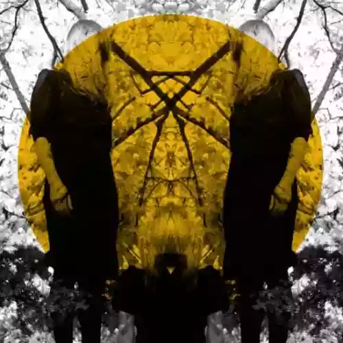 Cover Austra - Feel It Break