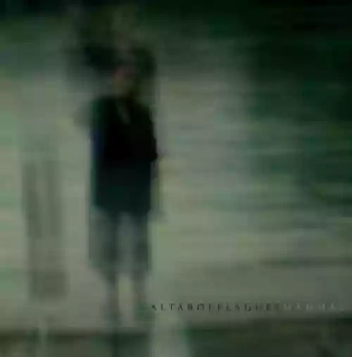 Cover di Mammal