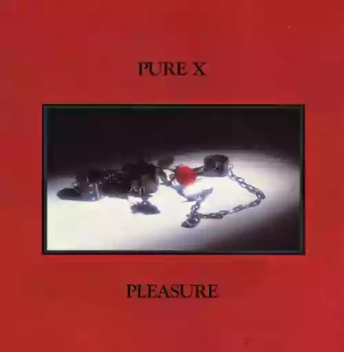 Cover di Pleasure