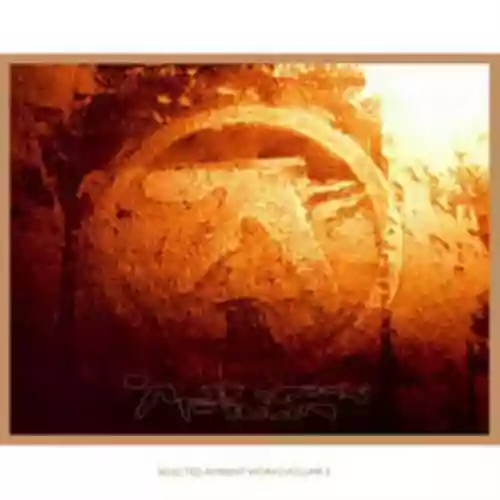 Cover di Selected Ambient Works Vol. II