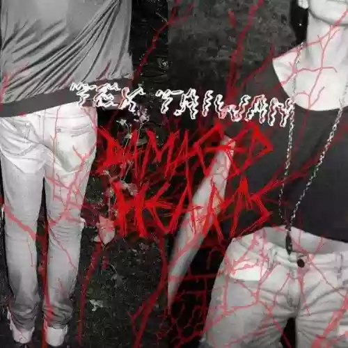 Cover di Damaged Hearts