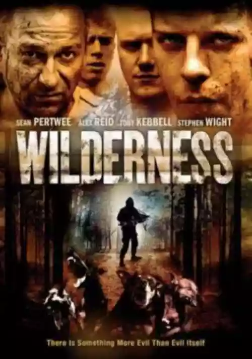 Cover di Wilderness