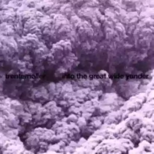Cover di Into the Great Wide Yonder