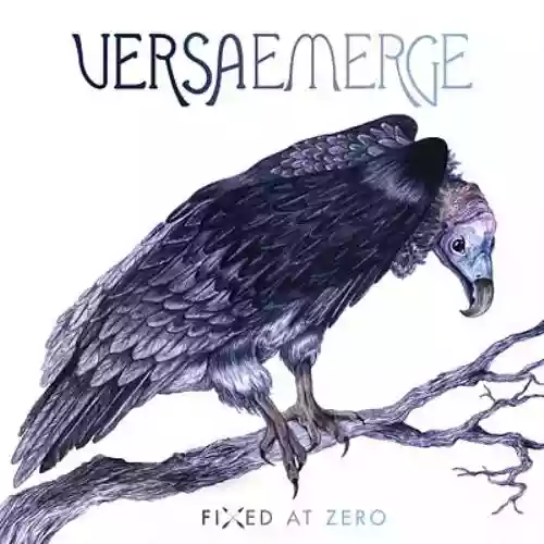 Cover di Fixed at Zero