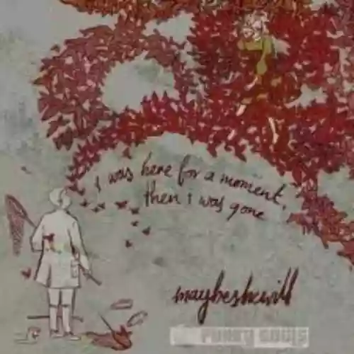 Cover Maybeshewill - I Was Here for a Moment, Then I Was Gone
