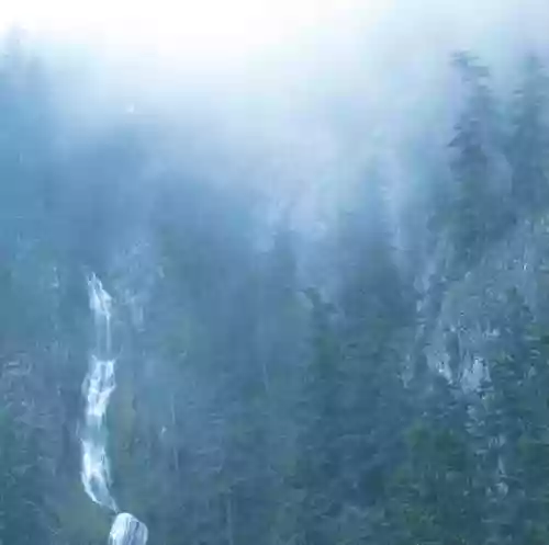 Cover Wolves in the Throne Room - Diadem of 12 Stars