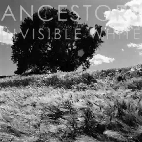 Cover di Invisible White EP