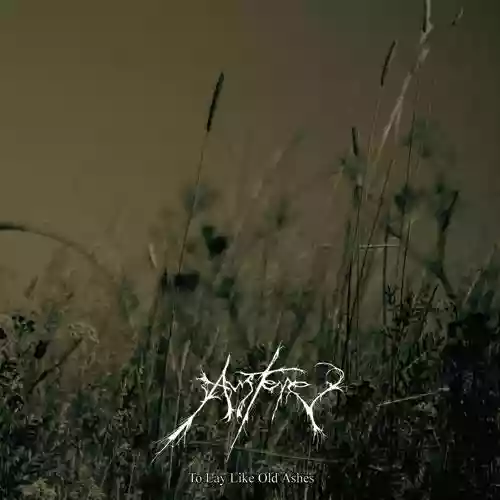 Cover di To Lay Like Old Ashes