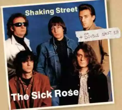 Cover di Shaking Street