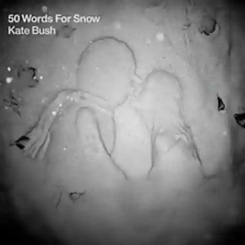 Cover di 50 Words for Snow